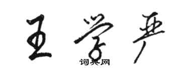 駱恆光王學嚴行書個性簽名怎么寫