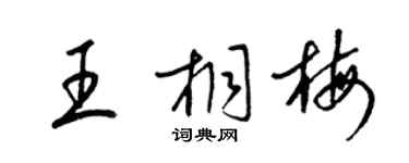 梁錦英王桐梅草書個性簽名怎么寫