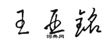 駱恆光王亞銘草書個性簽名怎么寫