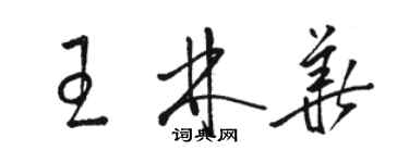 駱恆光王林華草書個性簽名怎么寫