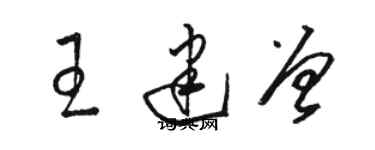 駱恆光王建曾草書個性簽名怎么寫