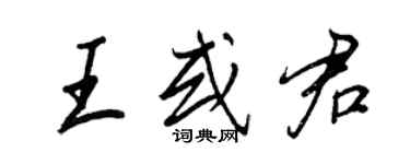 王正良王或君行書個性簽名怎么寫