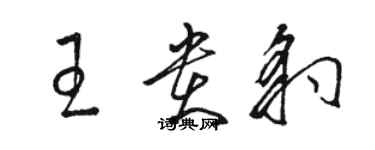 駱恆光王貴豹草書個性簽名怎么寫