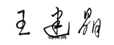 駱恆光王建晶草書個性簽名怎么寫