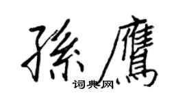 王正良孫鷹行書個性簽名怎么寫