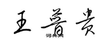 梁錦英王普貴草書個性簽名怎么寫