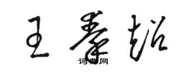 駱恆光王秦超草書個性簽名怎么寫