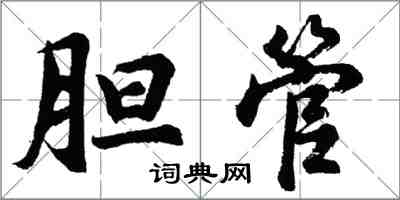 胡問遂膽管行書怎么寫