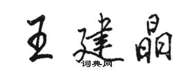 駱恆光王建晶行書個性簽名怎么寫
