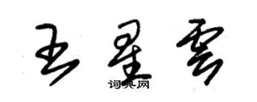 朱錫榮王星雲草書個性簽名怎么寫