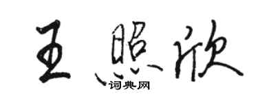 駱恆光王照欣行書個性簽名怎么寫