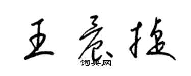 梁錦英王晨捷草書個性簽名怎么寫