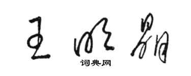 駱恆光王明晶草書個性簽名怎么寫