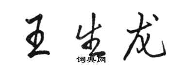 駱恆光王生龍行書個性簽名怎么寫