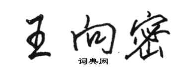 駱恆光王向密行書個性簽名怎么寫