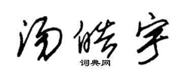 朱錫榮湯皓宇草書個性簽名怎么寫