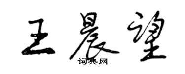 曾慶福王晨望行書個性簽名怎么寫