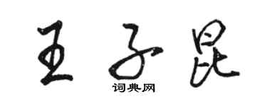 駱恆光王子昆行書個性簽名怎么寫