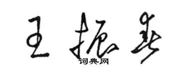 駱恆光王振春草書個性簽名怎么寫