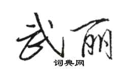 駱恆光武麗行書個性簽名怎么寫