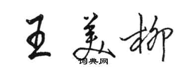 駱恆光王美柳行書個性簽名怎么寫