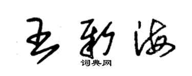 朱錫榮王新海草書個性簽名怎么寫