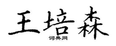 丁謙王培森楷書個性簽名怎么寫