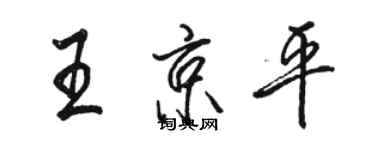 駱恆光王京平行書個性簽名怎么寫