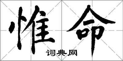 翁闓運惟命楷書怎么寫