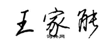 王正良王家能行書個性簽名怎么寫