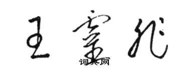 駱恆光王靈非草書個性簽名怎么寫