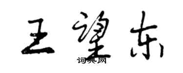 曾慶福王望東行書個性簽名怎么寫