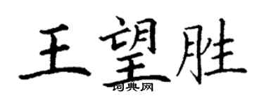 丁謙王望勝楷書個性簽名怎么寫