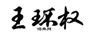 胡問遂王環權行書個性簽名怎么寫