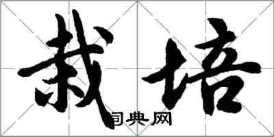 胡問遂栽培行書怎么寫