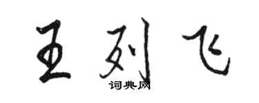 駱恆光王列飛行書個性簽名怎么寫