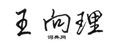 駱恆光王向理行書個性簽名怎么寫