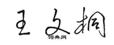 駱恆光王文桐草書個性簽名怎么寫