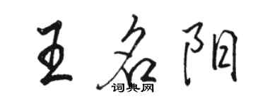 駱恆光王名陽行書個性簽名怎么寫
