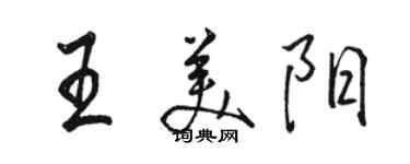 駱恆光王美陽行書個性簽名怎么寫