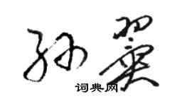 駱恆光孫翼草書個性簽名怎么寫