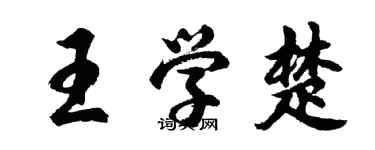 胡問遂王學楚行書個性簽名怎么寫