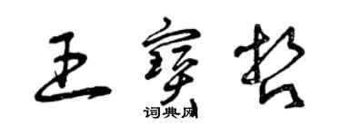 曾慶福王寶哲草書個性簽名怎么寫