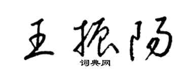 梁錦英王振陽草書個性簽名怎么寫