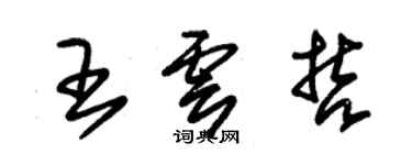 朱錫榮王雲哲草書個性簽名怎么寫