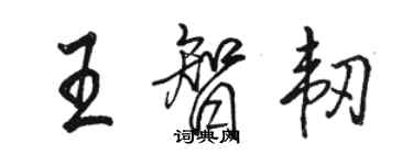 駱恆光王智韌行書個性簽名怎么寫