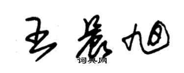 朱錫榮王晨旭草書個性簽名怎么寫