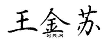 丁謙王金蘇楷書個性簽名怎么寫