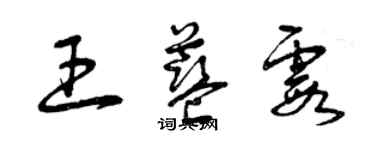 曾慶福王藍霞草書個性簽名怎么寫