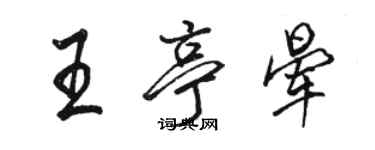 駱恆光王亭暈行書個性簽名怎么寫